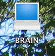 Picture 1.png