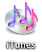 Picture 1.png