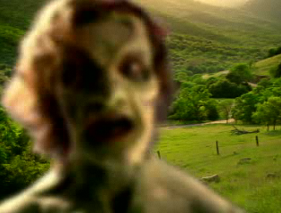 Picture 1.png