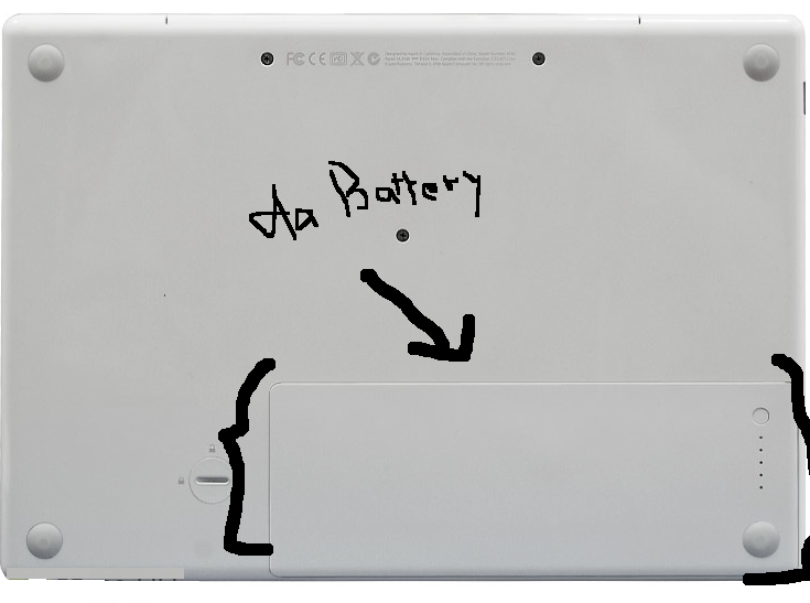 Picture 1.png