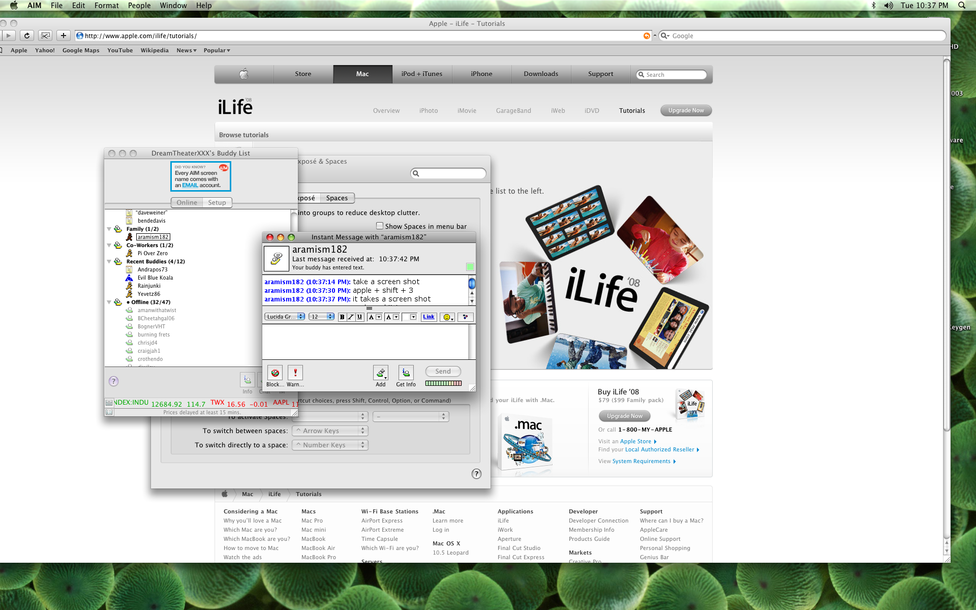 Picture 1.png