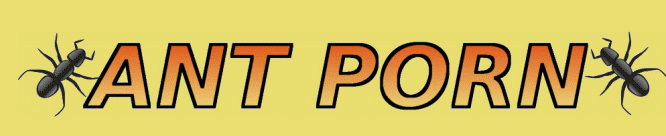 Picture 1.png