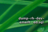 Picture 1.png