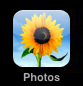Picture 1.png