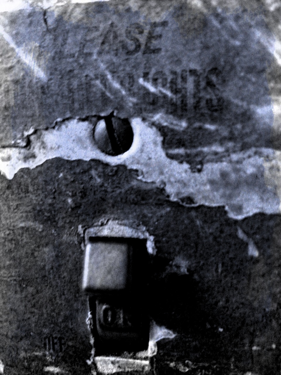 Picture 1001.jpg