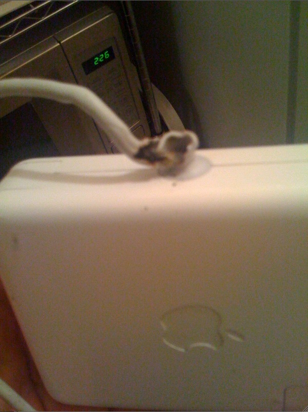 Picture 14.jpg