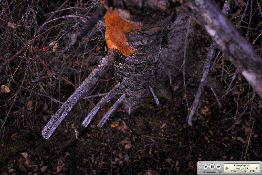 Picture 2.jpg