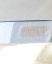Picture 2.png
