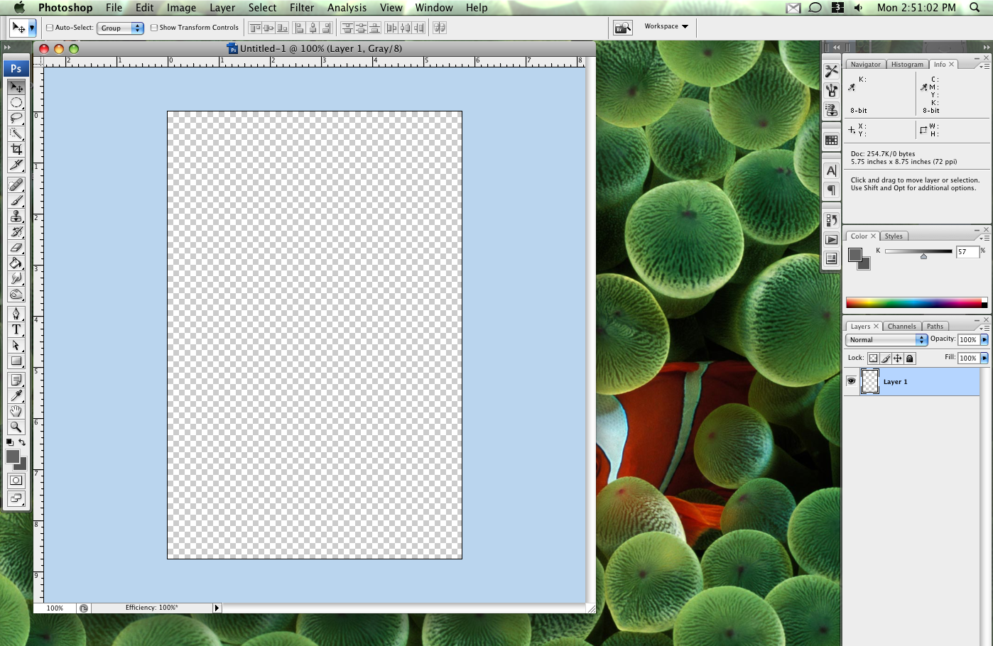 Picture 3.png
