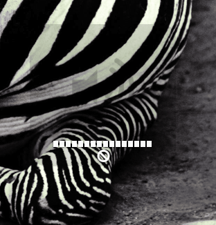Picture 3.png
