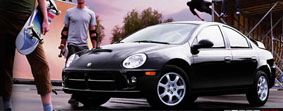 Picture 4 copy.jpg