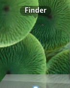 Picture 4.png