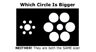 Picture 5.png