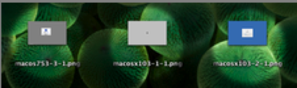 Picture 5.png