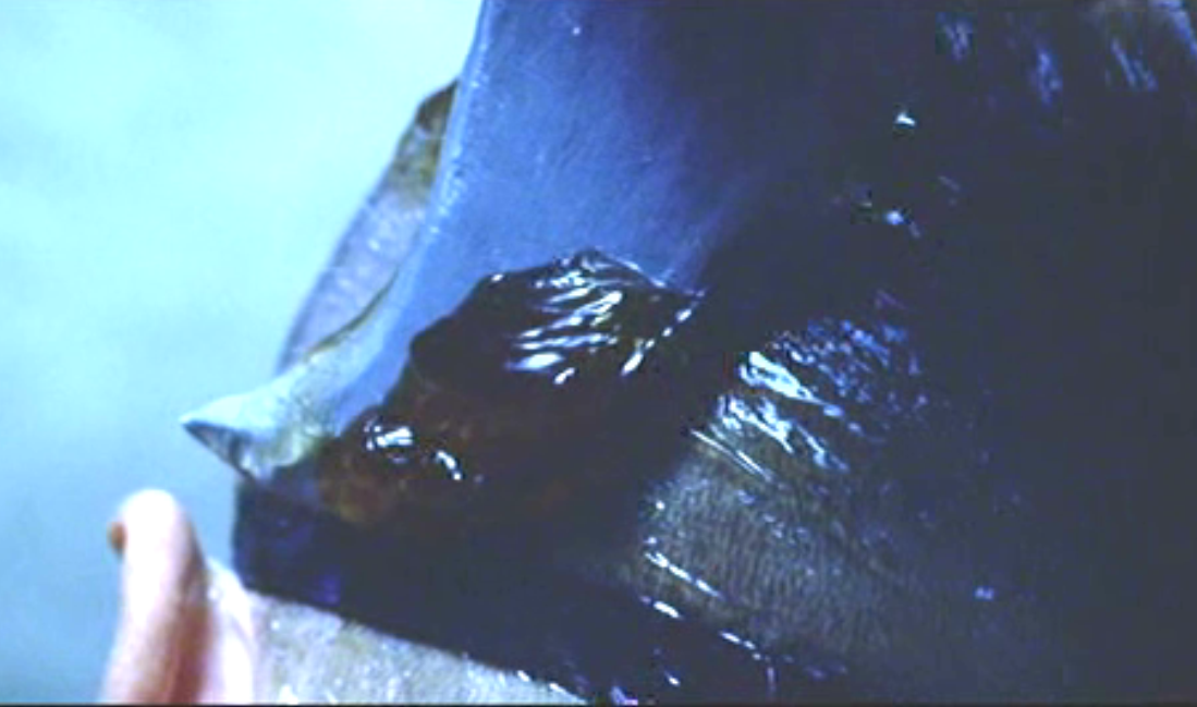 Picture 9.png