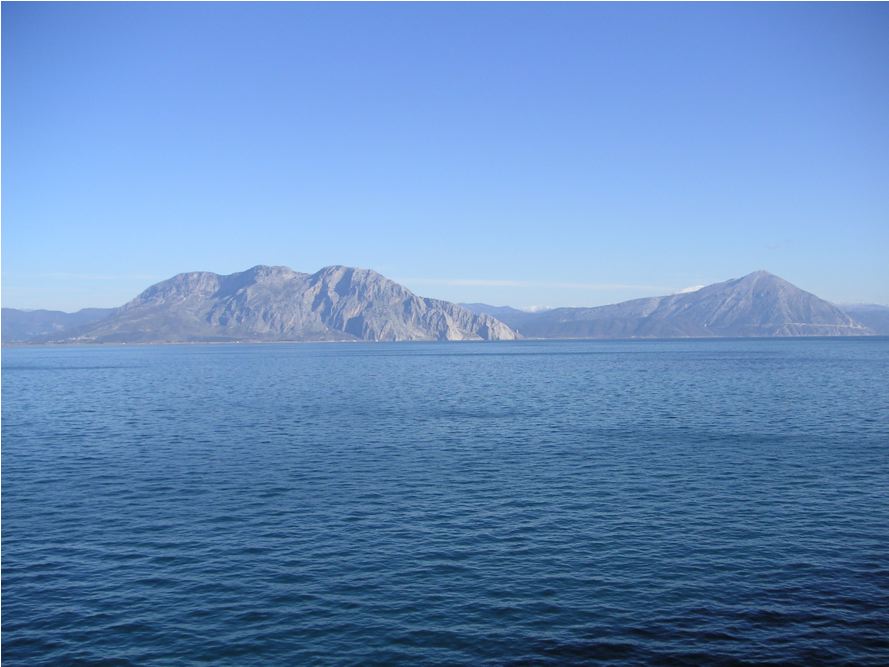 Picture.jpg