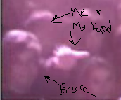 Picture2.png