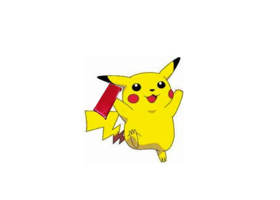 pikachu case.jpg