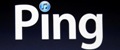 Ping.jpg