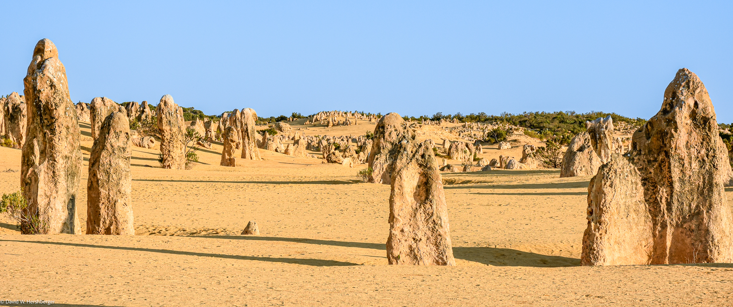 Pinnacles.jpg