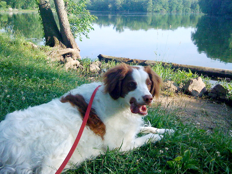 pirate jun 10 2009.jpg