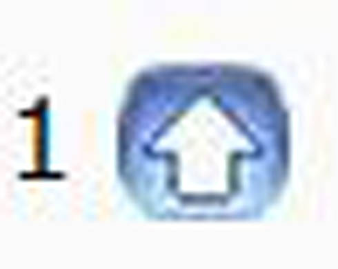 pl1.JPG