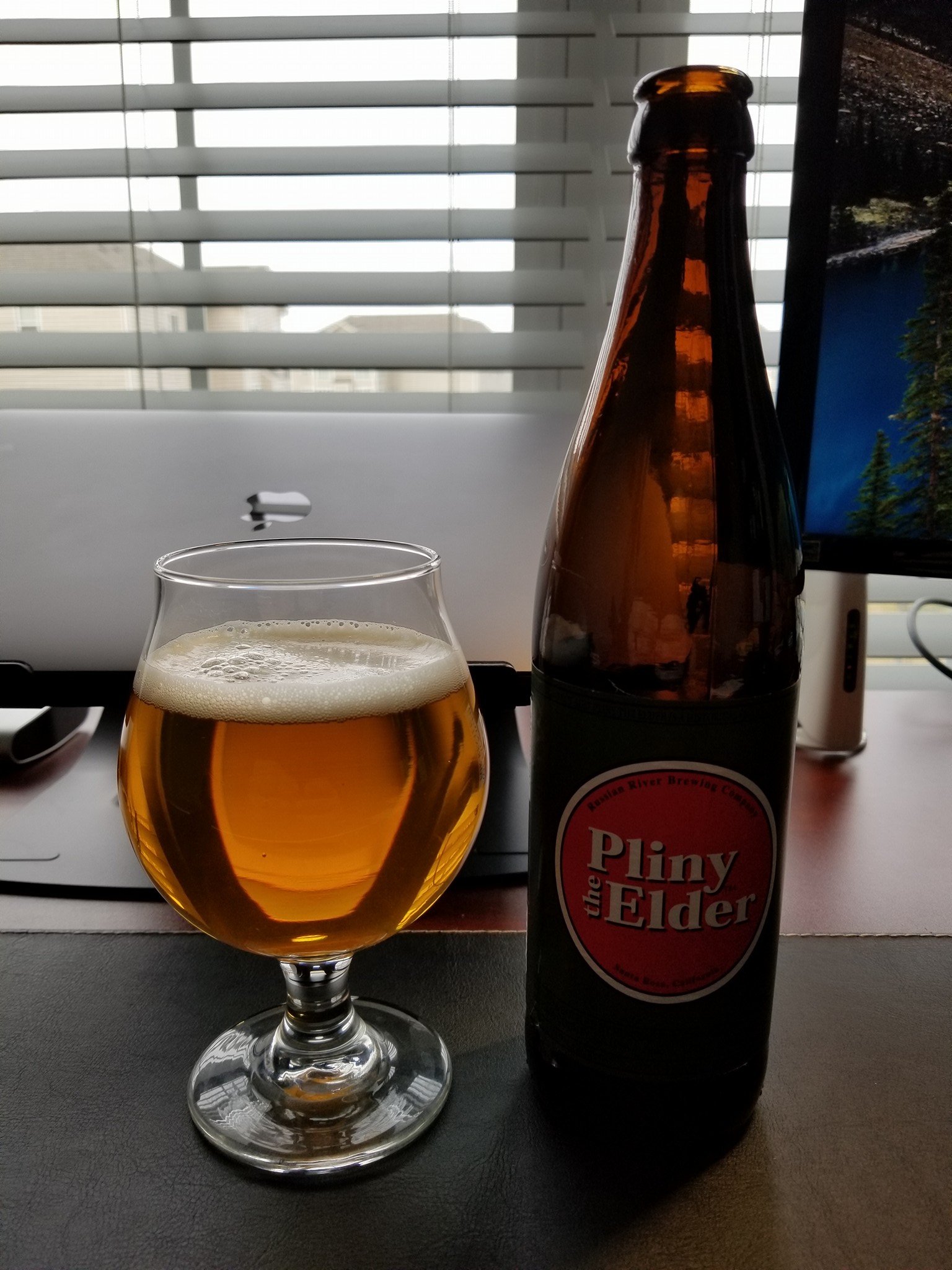 Pliny.jpg