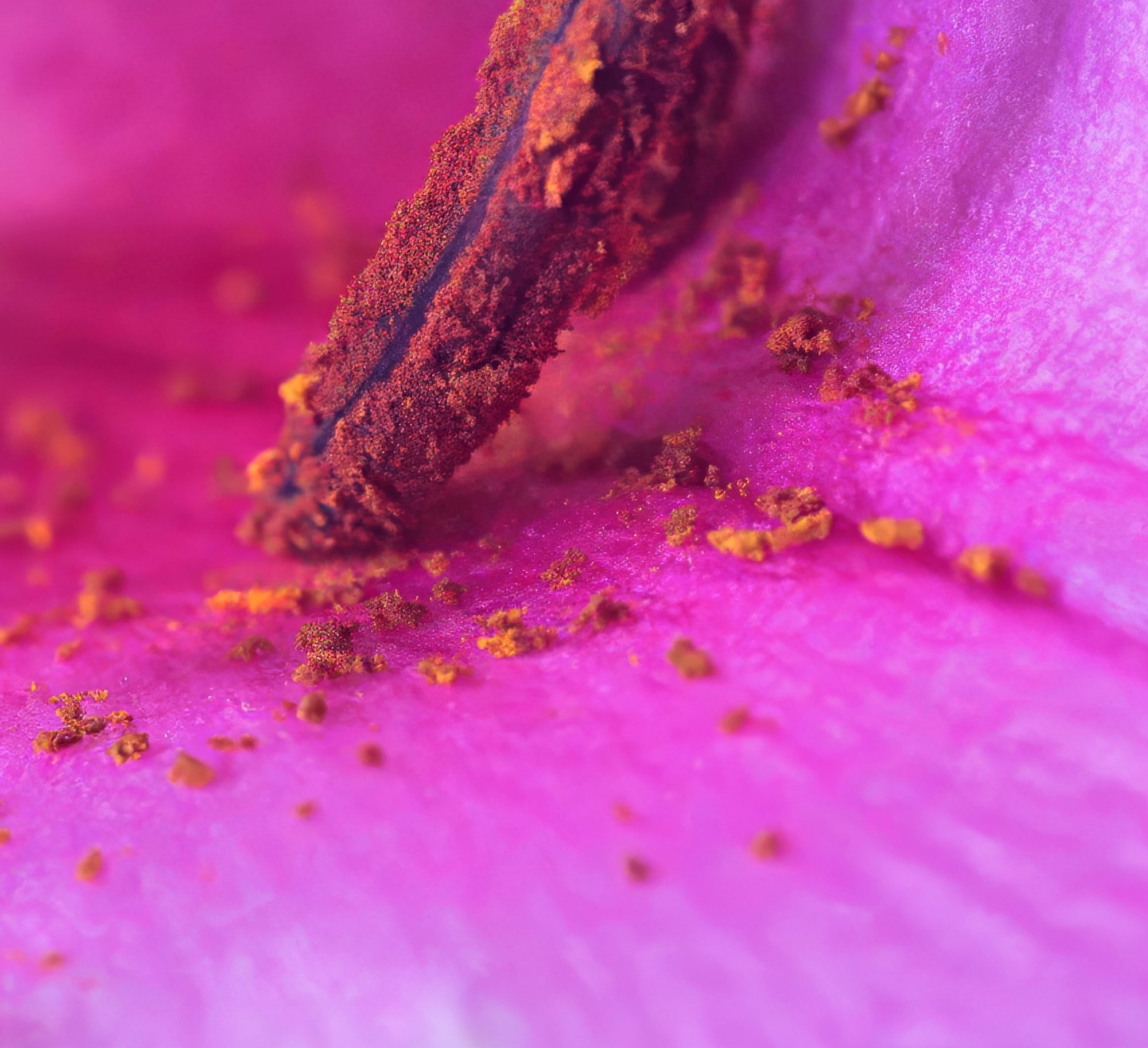 Pollen Factory.jpeg
