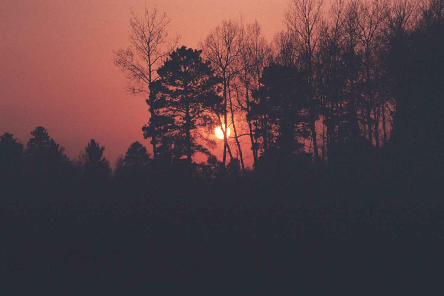 Pondsunset-05.jpg