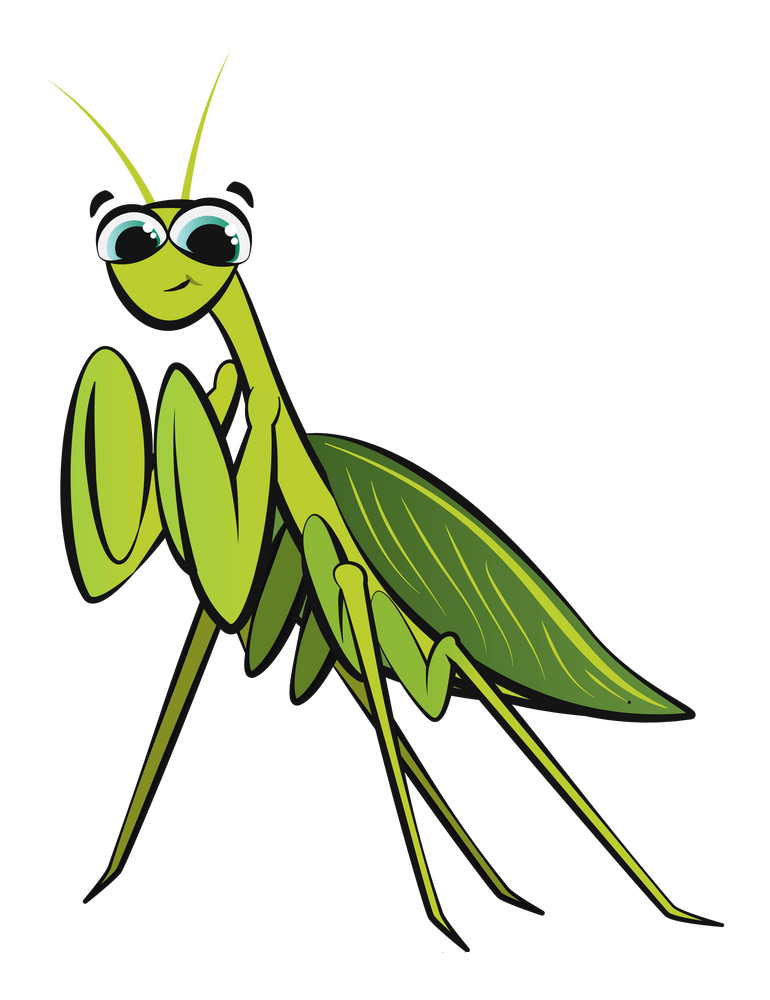 praying-mantis.png
