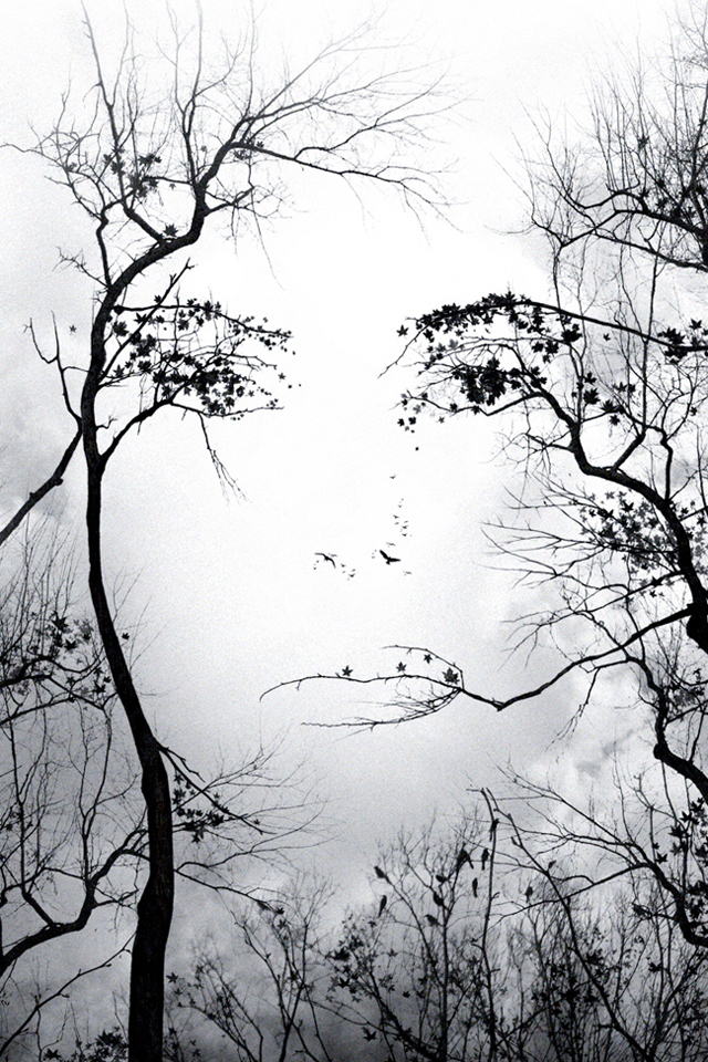 premonition-wp02-1600.jpg