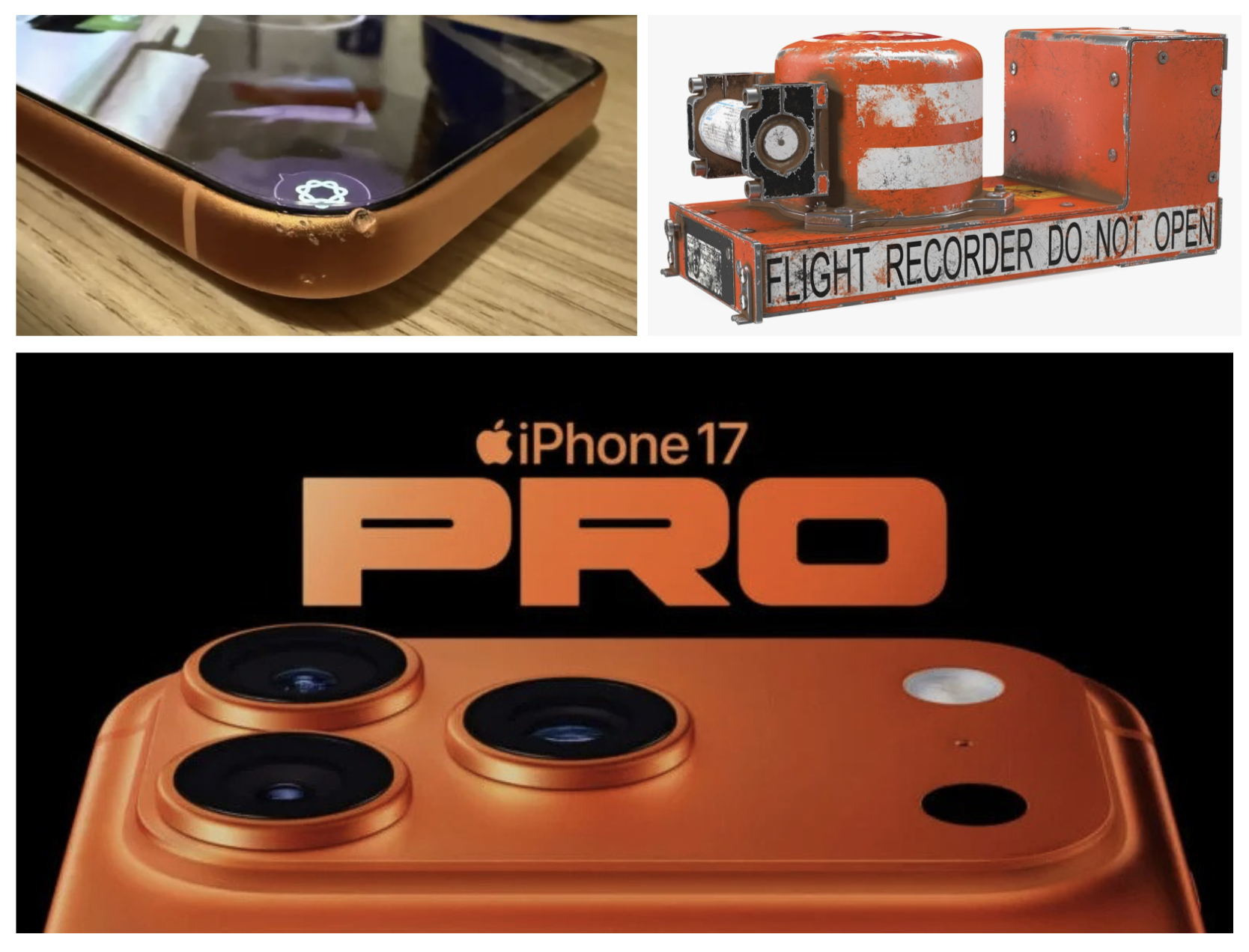 pro.png