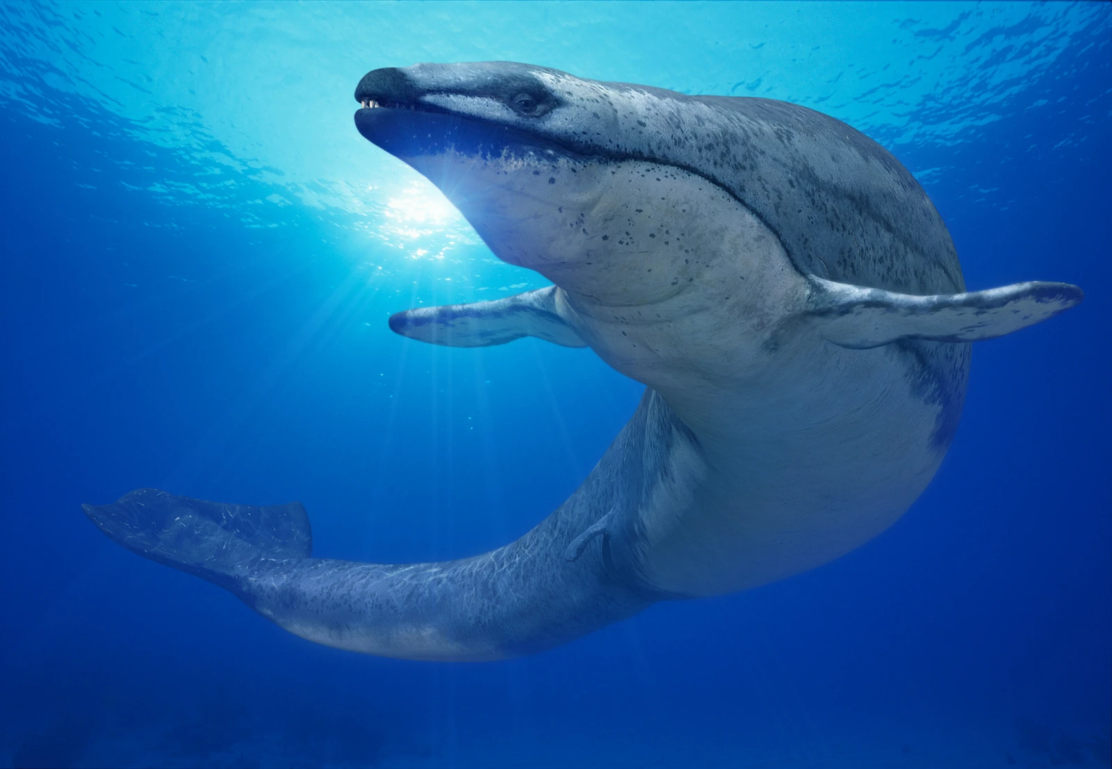 Promo_Basilosaurus.png