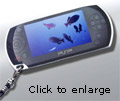 psp1.jpg