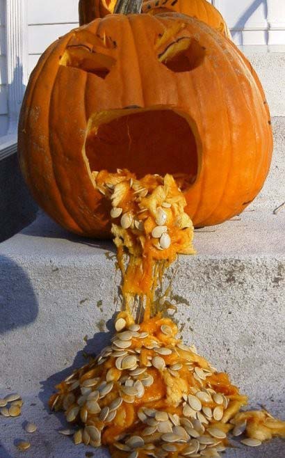 pumpkin1 copy.jpg