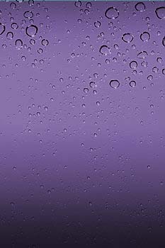 purple.jpg