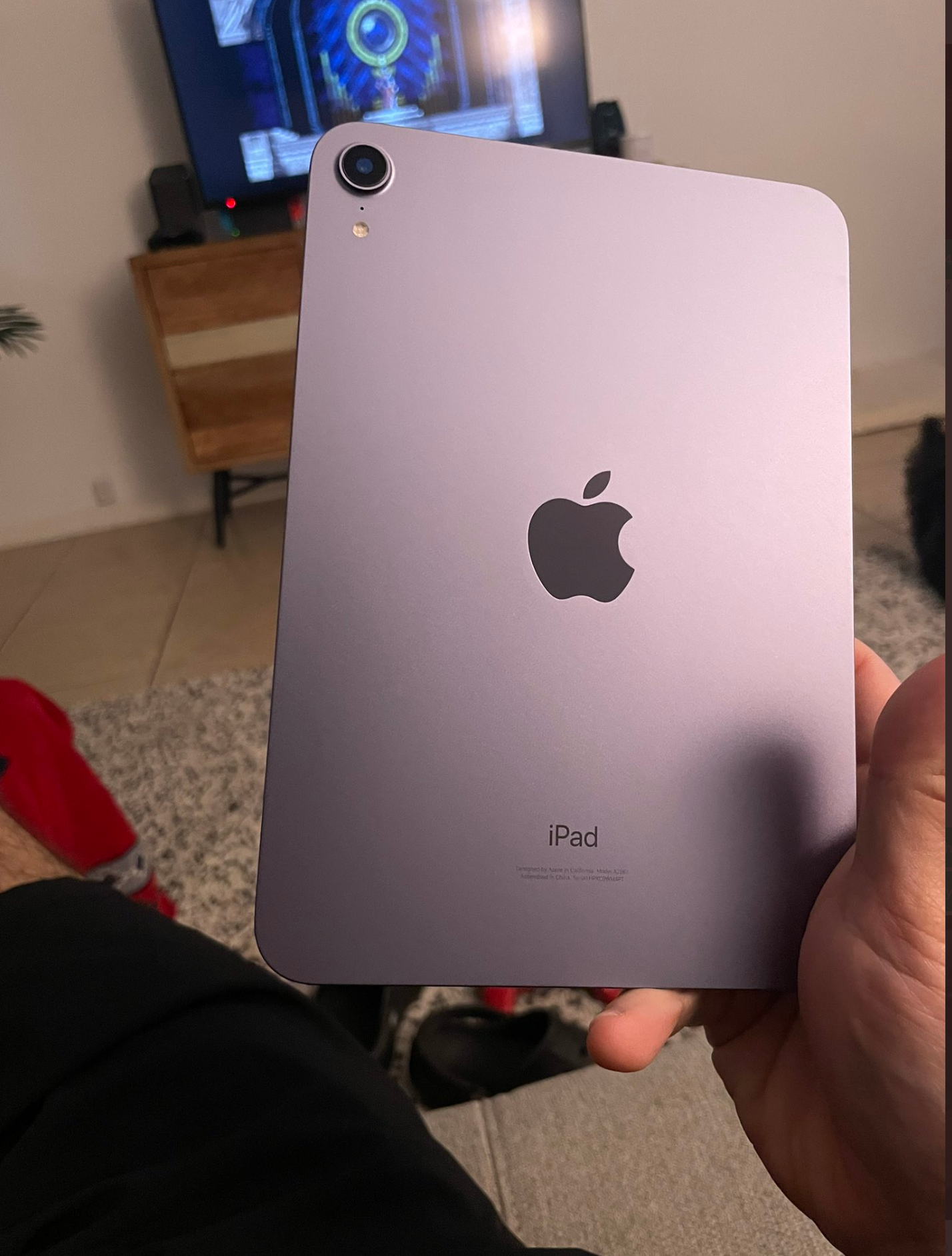 purpleminicarlos.png