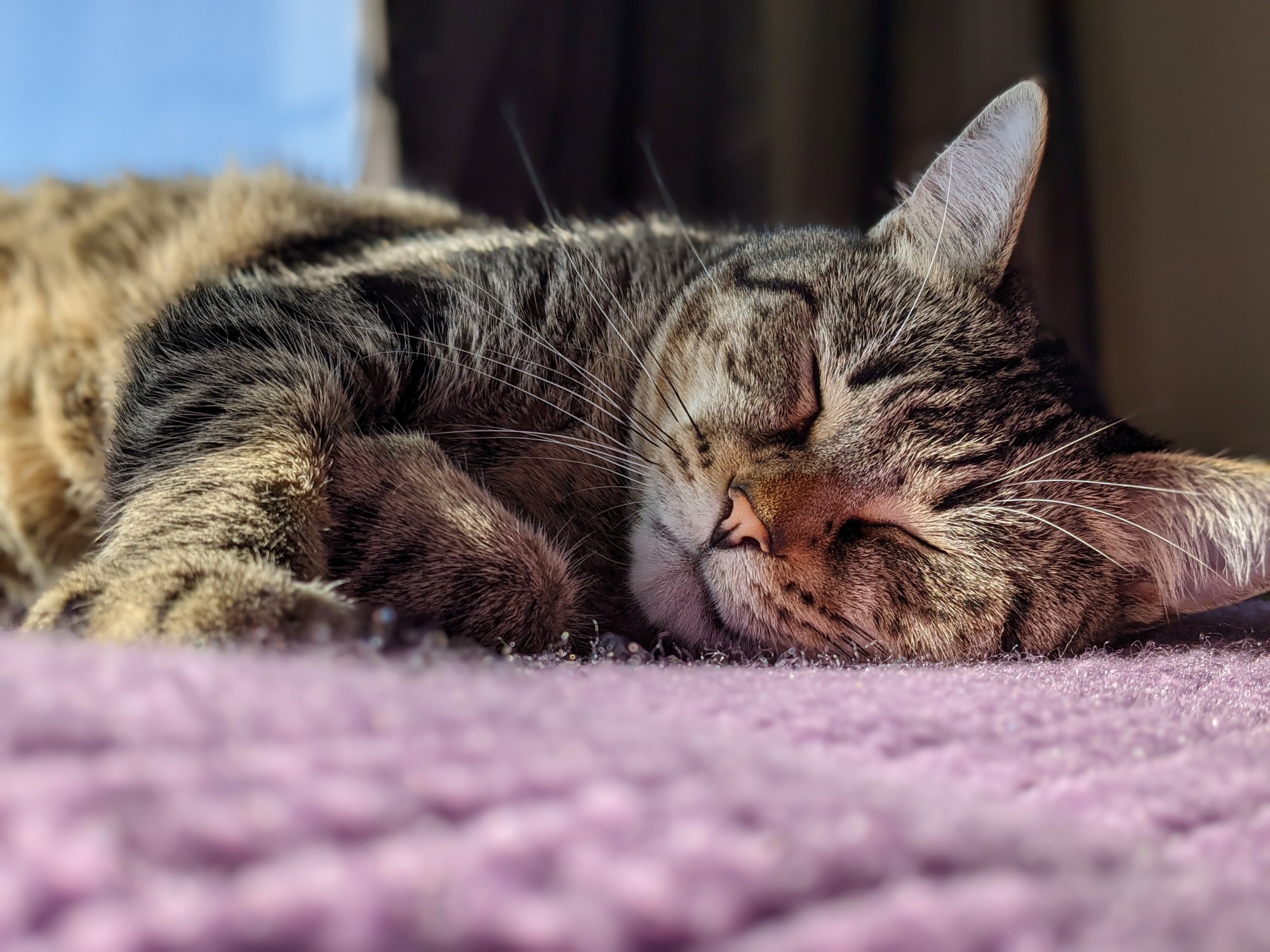 PXL_20201103_201733655.PORTRAIT.jpg