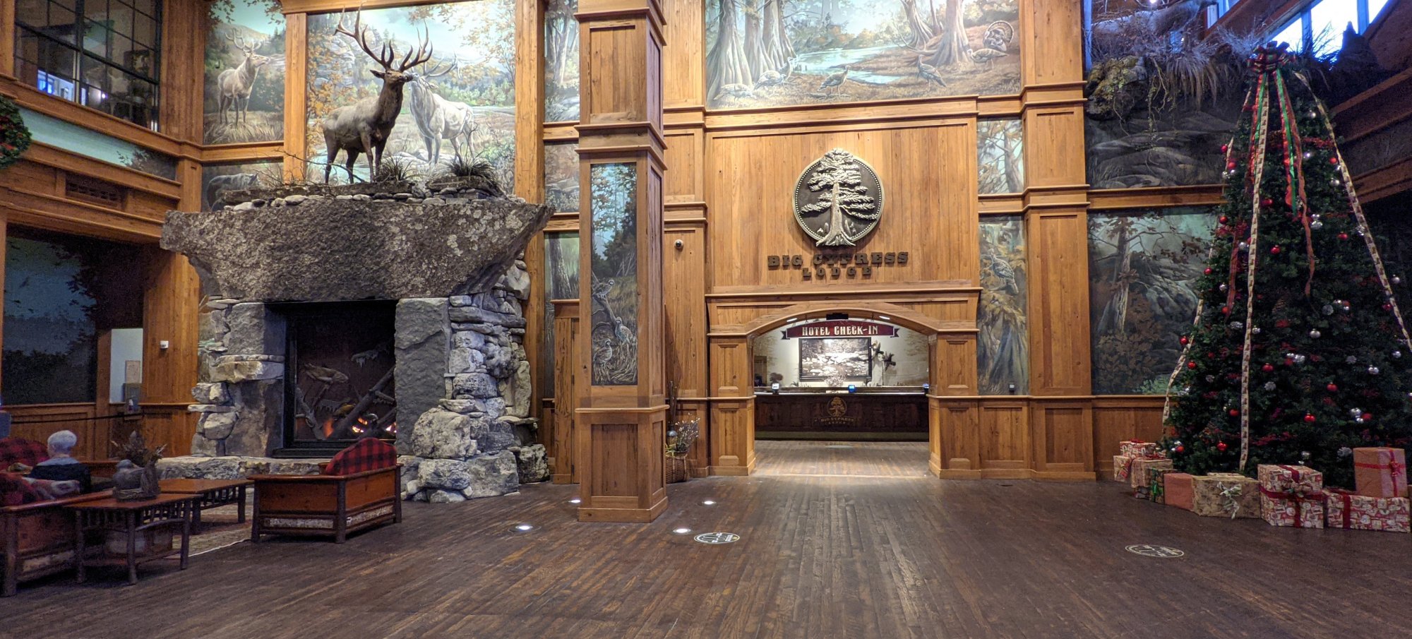 PXL_20211103_224356732.jpg