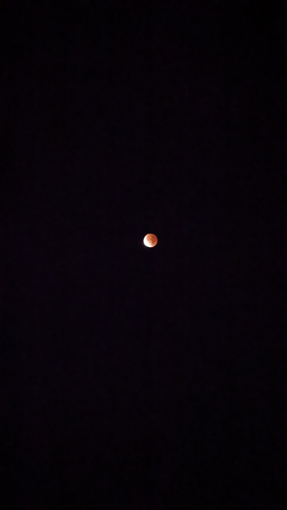 PXL_20211119_085739670.NIGHT.jpg