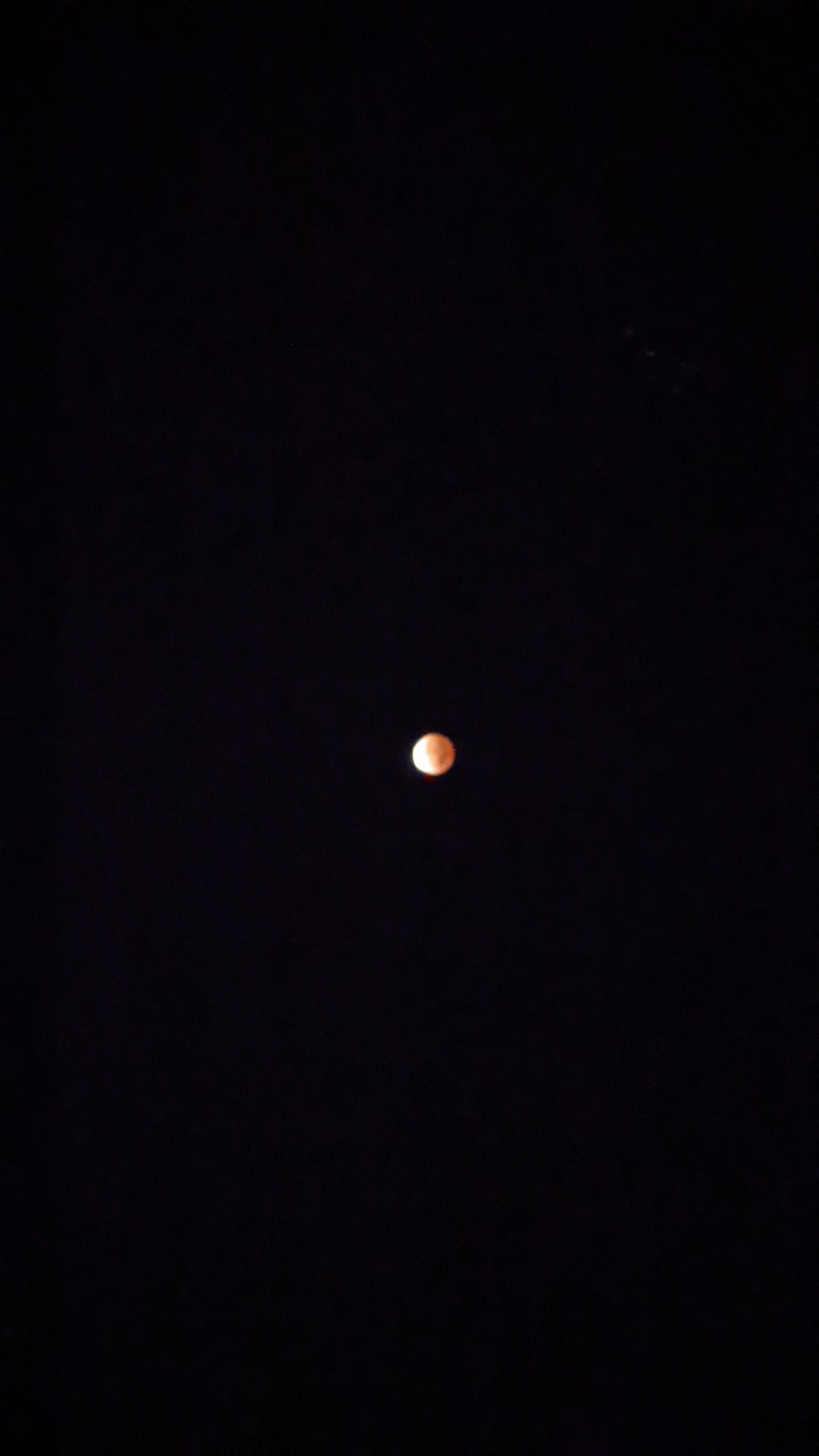 PXL_20211119_091124854.NIGHT.jpg