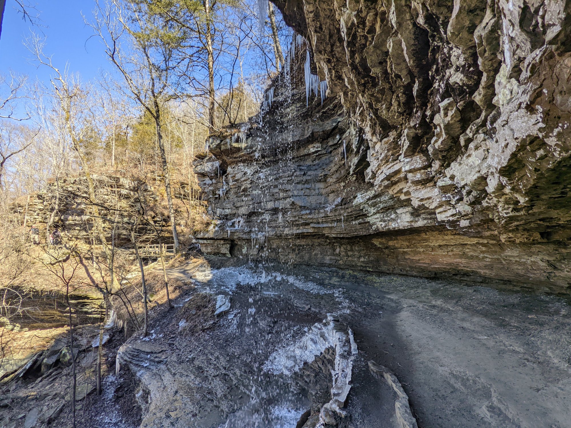 PXL_20220219_193532194.jpg