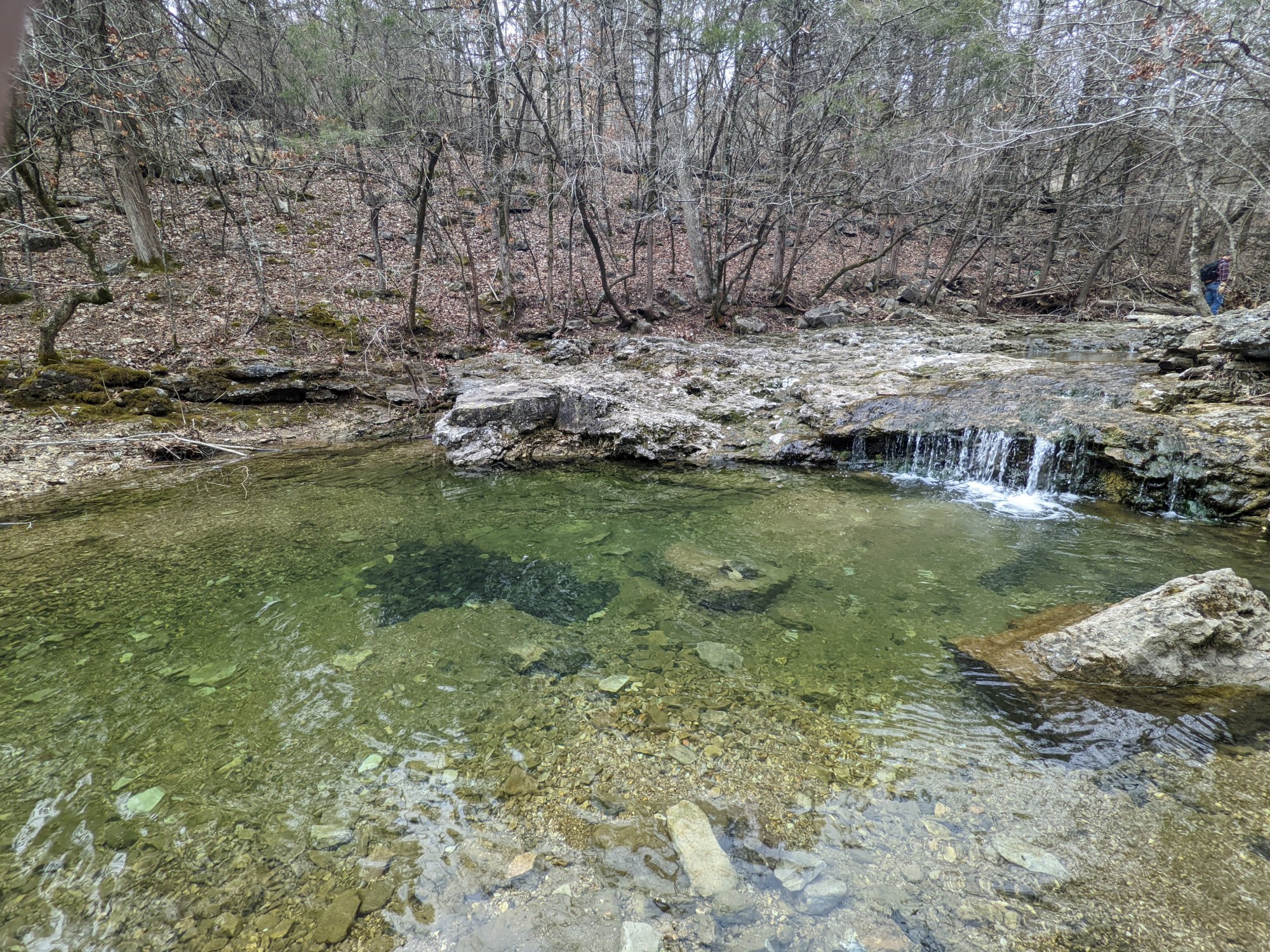 PXL_20220315_160154390.jpg