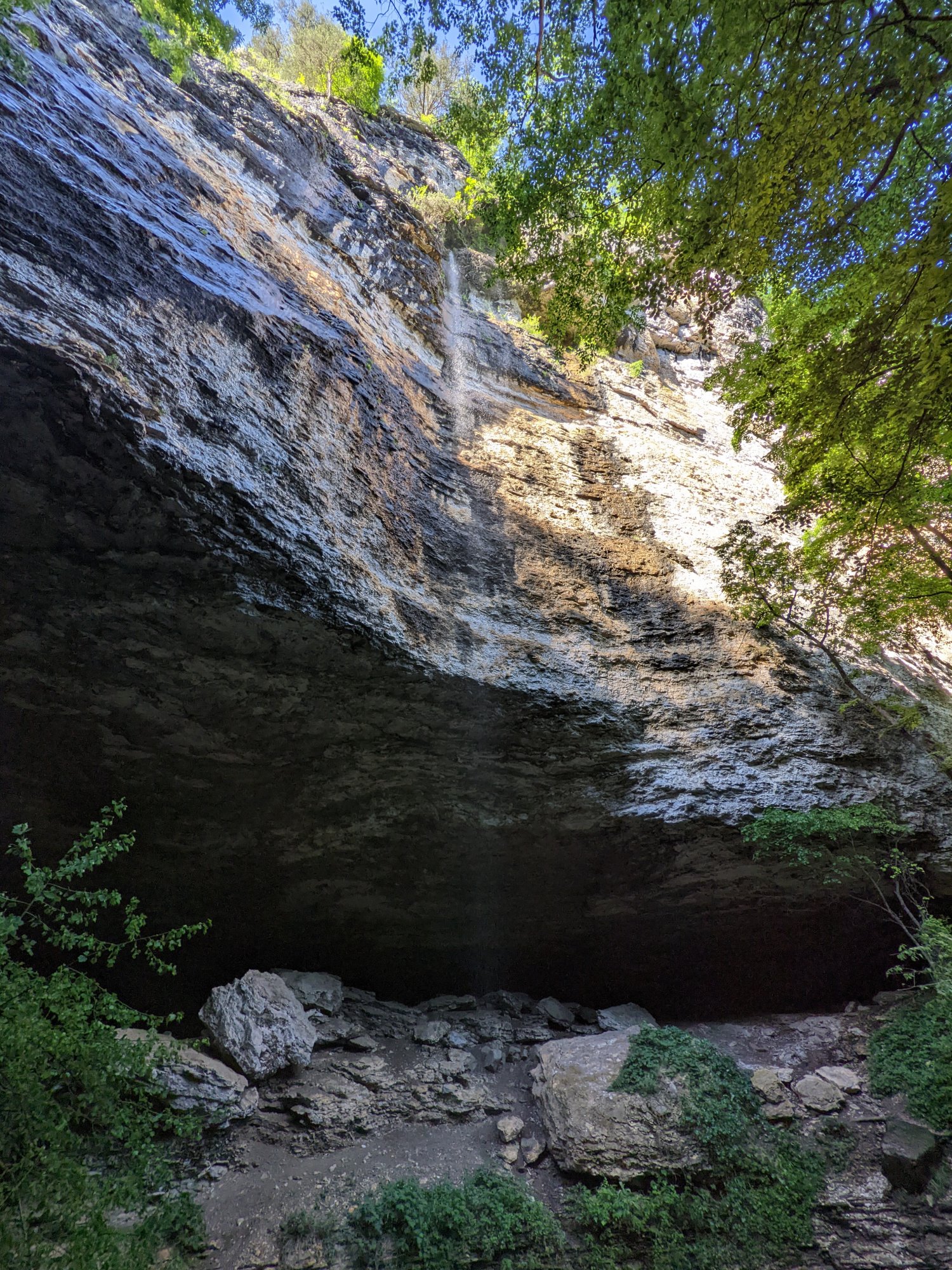 PXL_20220525_224838991.jpg