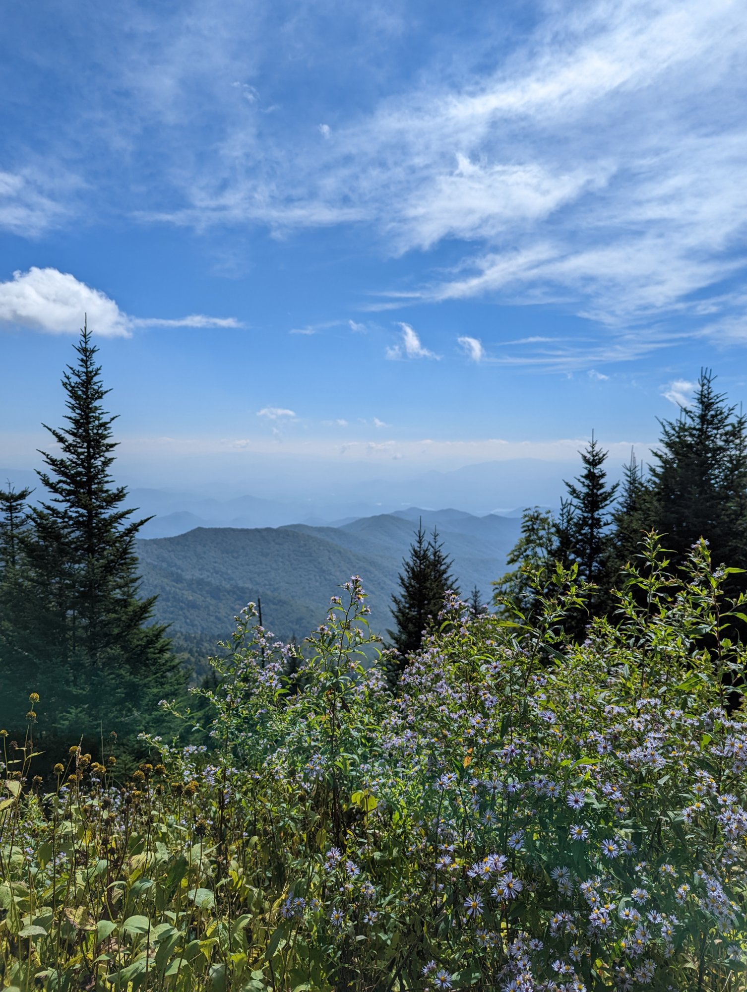 PXL_20220919_191015318.jpg