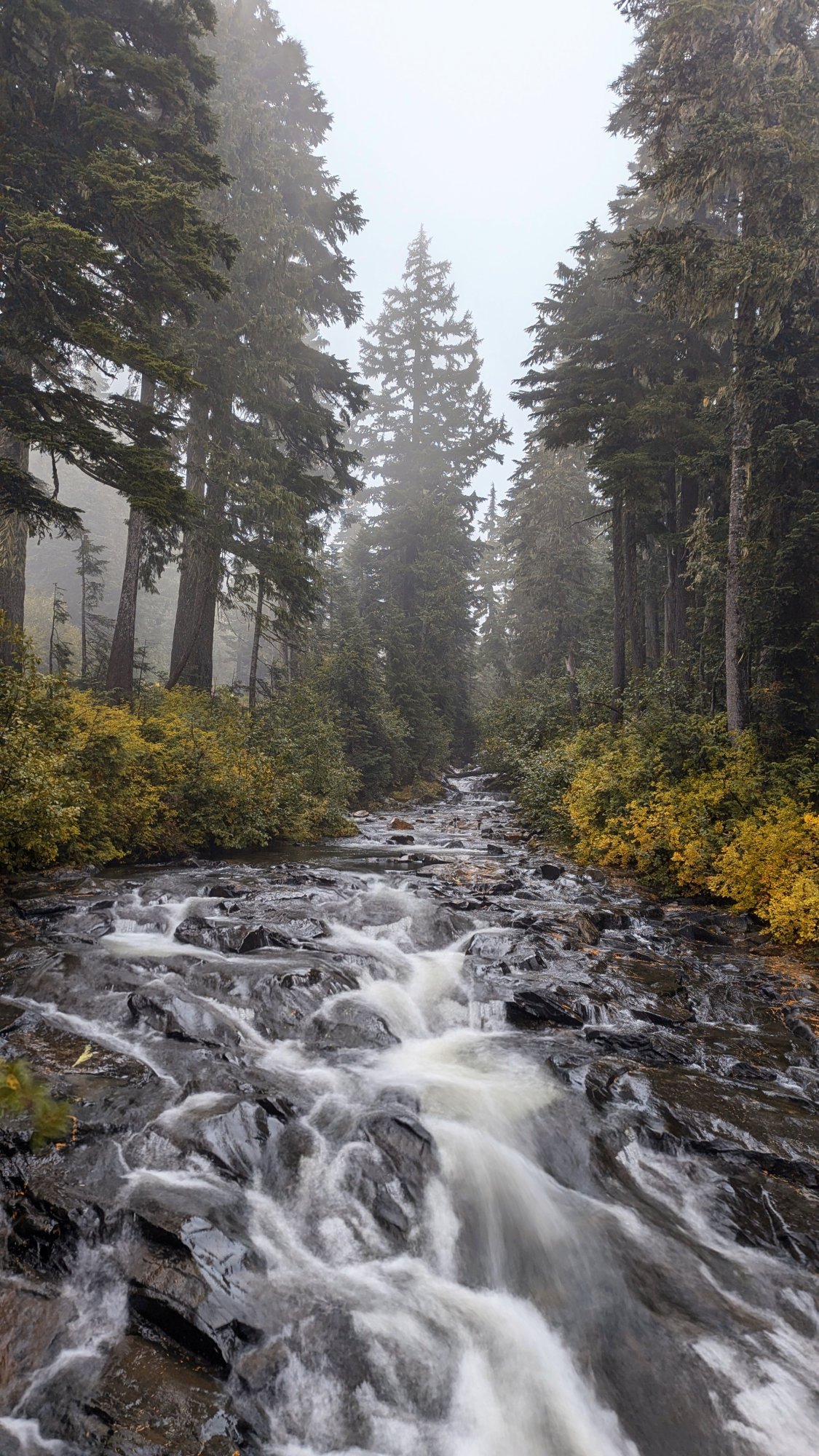 PXL_20241004_210857995.LONG_EXPOSURE-01.COVER~2.jpg