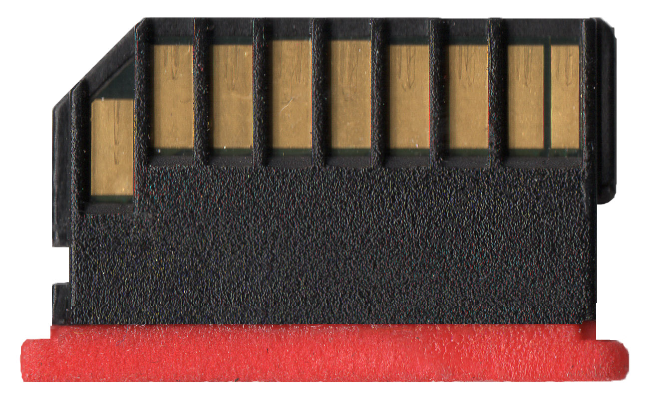 r13_Back_red.jpg
