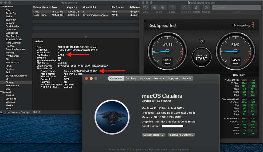 RAID_0 Catalina.png