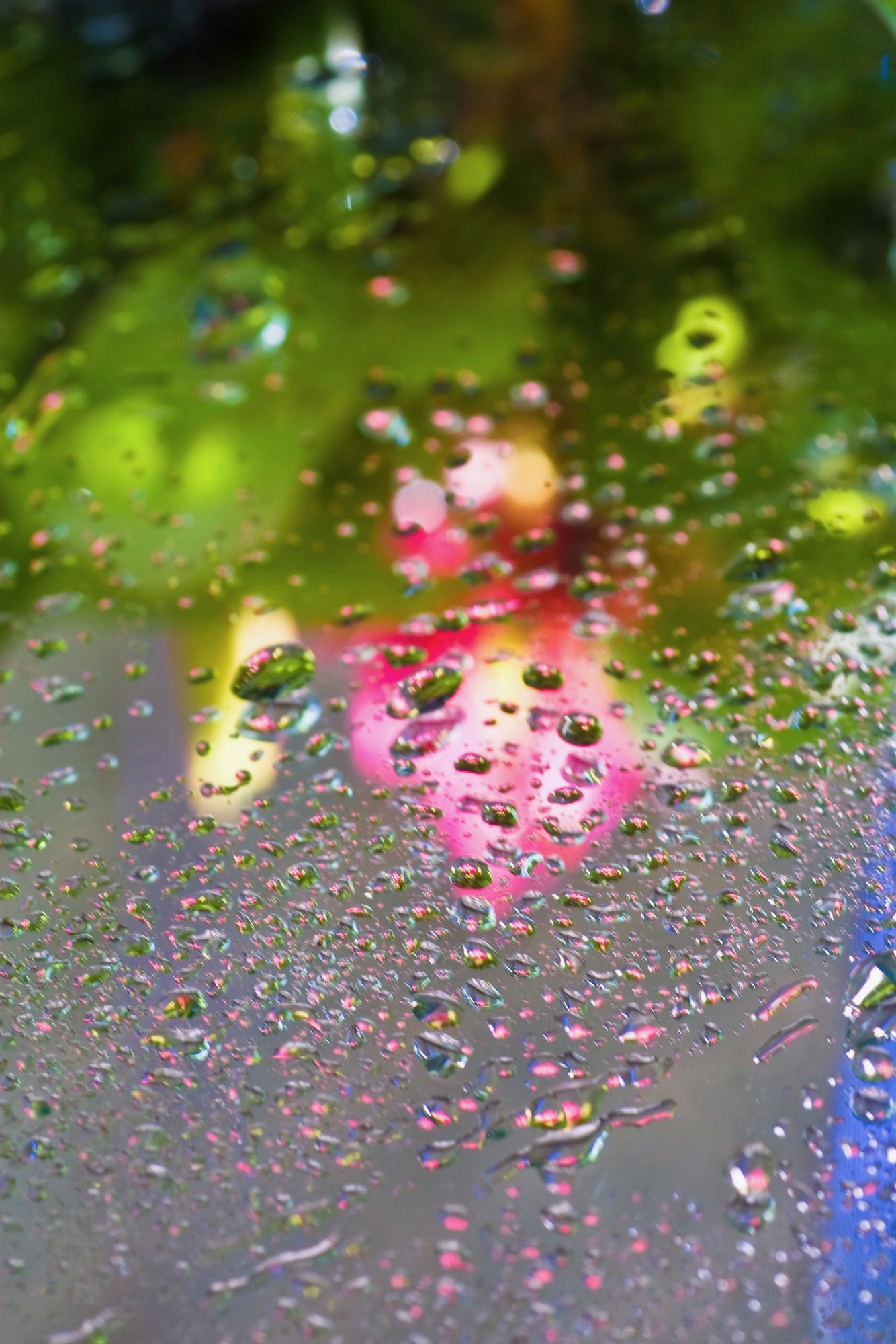 rain - 1.jpeg