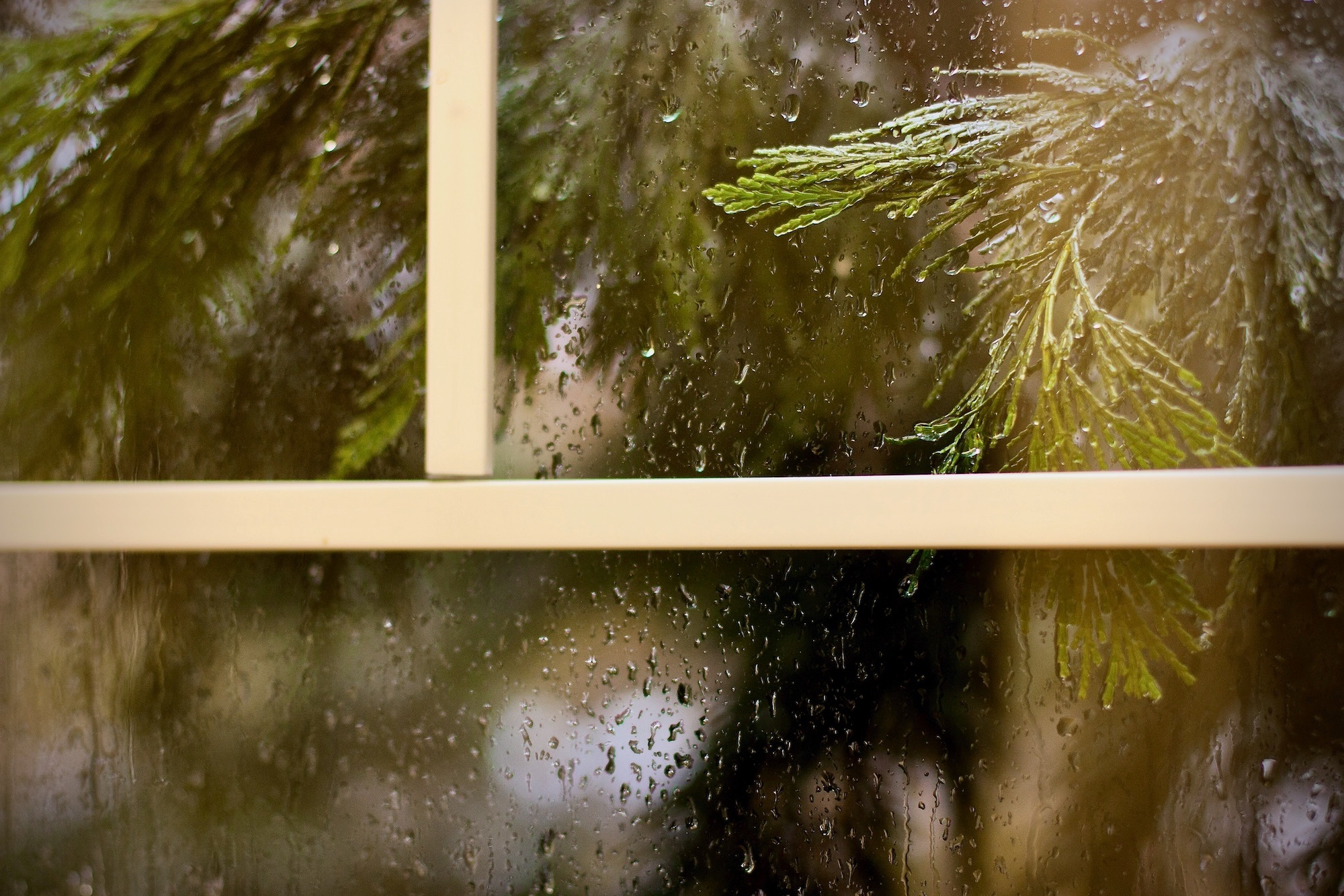 rain - 1.jpeg